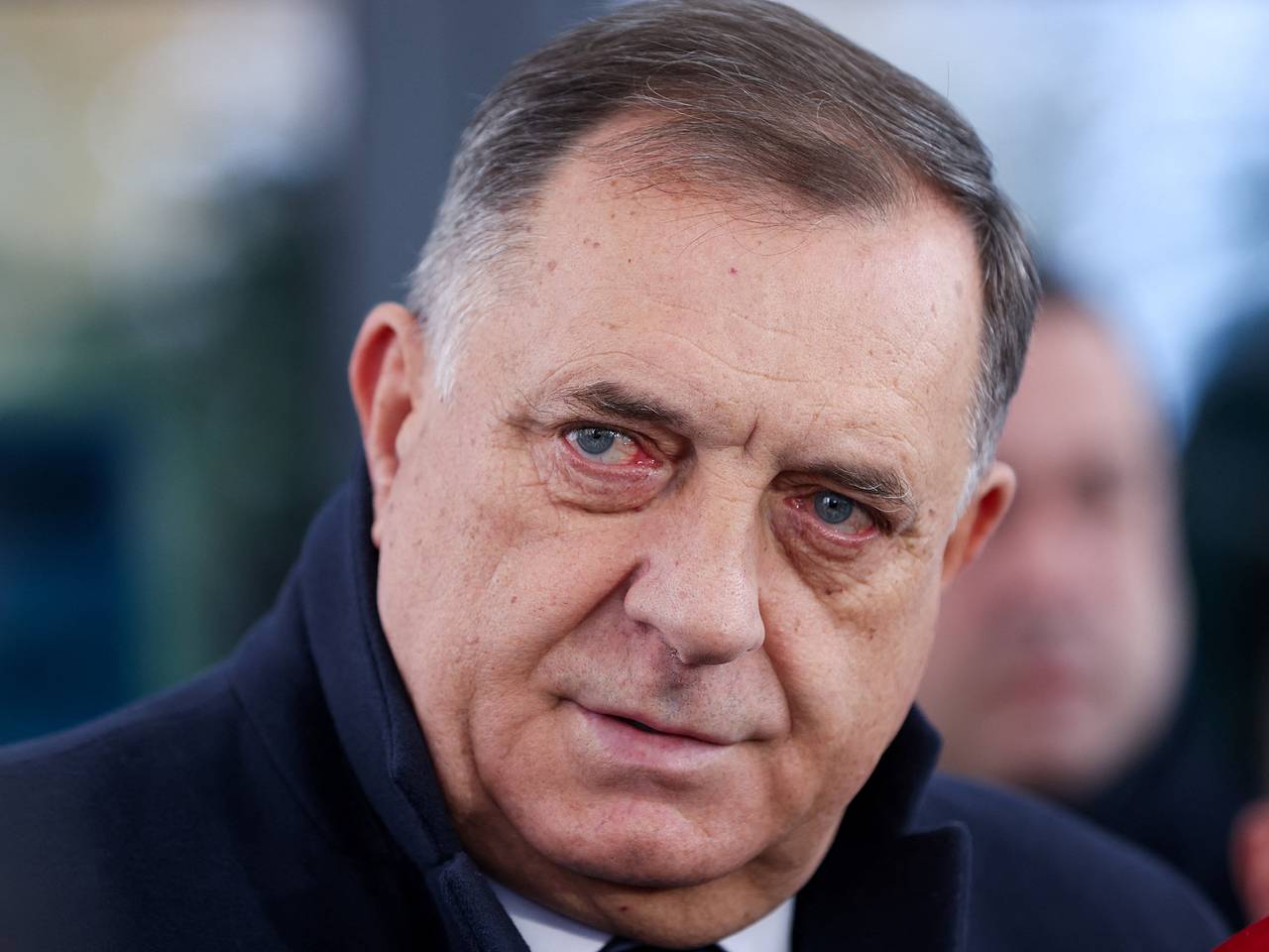 Додик объяснил цели европейцев на Украине
